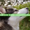 (探探猫过大年第一季)探探猫大作战全面攻略及常见问题解答