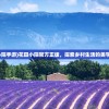 (热血三国志ol充值折扣怎么领)热血三国志OL充值折扣，深度解析与常见问题解答