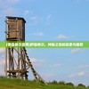 (蓝天传奇打金版怎么样)蓝天传奇打金版，游戏新篇章的开启