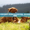 (江湖传奇粤语版郑达)江湖传奇粤语版郑达MP3，重温经典，探寻江湖故事