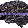 探秘幻想世界：解读《原神》中绯雨骑士团图标的设计理念与象征意义