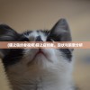 (猫之宿约者视频)猫之宿约者，现状与前景分析