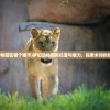(黑夜迷踪结局解析知乎)黑夜迷踪结局深度解析及常见问题解答