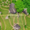 (角落小伙伴农场无限金币版)角落小伙伴的农场生活国际版，乡村生活的魅力与挑战