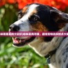 (剑道尘心原名叫什么)剑道尘心最出名十首诗及其深度解析