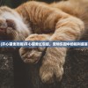 (开心猫舍攻略)开心猫舍红包版，宠物乐园中的福利盛宴