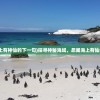 (乱世王者体验服下载正确地址)乱世王者体验服，深度探索与常见问题解答