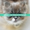 (猫酱是什么意思)猫酱的意思及其相关解析