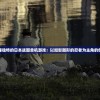 探讨笔锋独特的日本战国单机游戏：以如影随形的忍者为主角的创新尝试