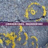 (青空之刃什么时候上线正式服)青空之刃上线日期揭秘，期待已久的新游戏何时与我们相遇？