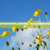 (花开易梦阁手游)花开易梦阁上线时间揭秘，期待已久的新时代梦境之旅即将开启！