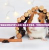 (盛世明朝时代攻城损)盛世明朝时代，繁荣背后的历史深度与影响
