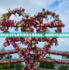 (阿达三国志2019官网)阿达三国志2019手机版，游戏概述与常见问题解答