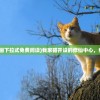 (疑案追声中元节答案和声源标记)疑案追声，中元节DLC答案揭秘与深度解析