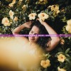 (仙禁生红药微芳不自持 全诗的意思)仙禁生红药，微芳不自持——探寻古诗中的深邃意境