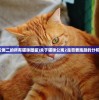 (猫咪公寓二的所有猫咪图鉴)关于猫咪公寓2是否要跑路的分析与探讨