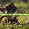 这个地下城有点怪角色：揭秘藏在黑暗角落的奇幻生物及其神秘历险记
