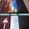(无双战机内置修改器免内购)无双战机内置修改器，深度解析与常见问题解答