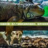 (动物乐园派对里一共几个动物啊)动物乐园派对，狂欢中的百兽盛宴