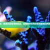 探索与揭秘：锦鱼究竟是何种鱼类，其独特的生存环境和繁殖习性揭示了什么?