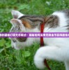 (花木兰从军记 恋听网)花木兰从军记小莫MP3，古韵与现代的交融