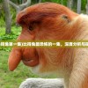 (比得兔第一集)比得兔最恐怖的一集，深度分析与探索