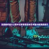 深度解析星火之歌中文配音背后的艺术魅力和演绎技巧