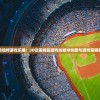 体验独特游戏乐趣：3D动画弹珠游戏的技术创新与游戏策略研究