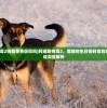 (阿瑞斯病毒2狗能免费获得吗)阿瑞斯病毒2，娜娜的生日密码背后的故事与游戏深度解析