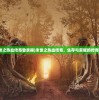 (末世之热血传奇登录器)末世之热血传奇，生存与荣耀的传奇故事