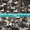 探讨殖民国家间的战争：观察其动力源泉与后果的深入剖析与对现代国际关系的启示