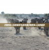 (九转涅槃诀免费阅读)九转涅槃诀，一部引领修炼巅峰的神奇功法，TXT全本免费阅读
