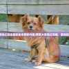 (萌宠大冒险红包版最新版本更新内容)萌宠大冒险红包版，游戏探索与体验