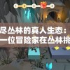 (跃迁旅人画师)跃迁旅人国际服是否停服？游戏运营现状解析