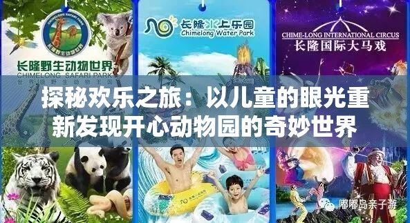 探秘欢乐之旅：以儿童的眼光重新发现开心动物园的奇妙世界