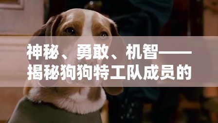 神秘、勇敢、机智——揭秘狗狗特工队成员的独特名字及其背后的故事