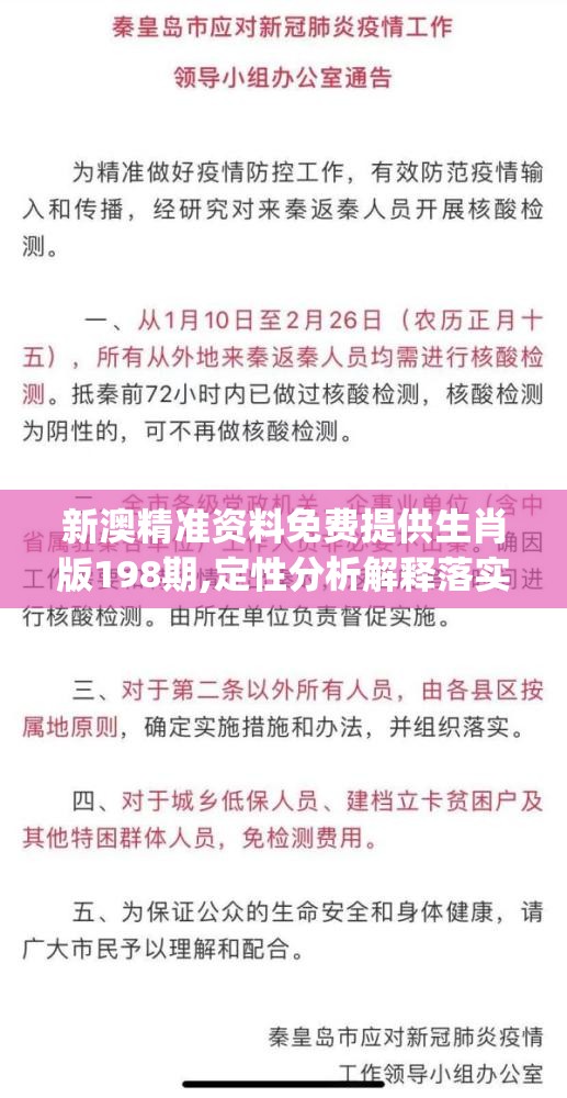 (乞丐王妃免费观看完整版)乞丐王妃，身份之谜与时代挑战