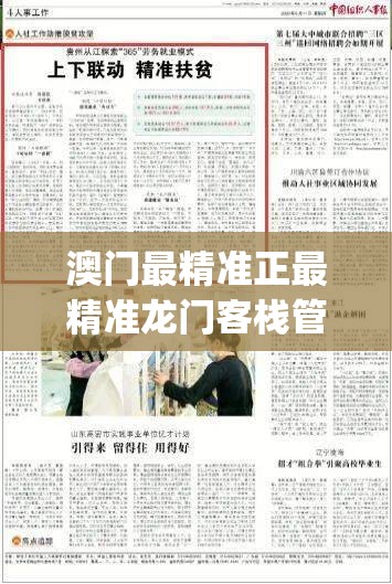 (schafer中文)Schipholast的中文名字及其相关探讨