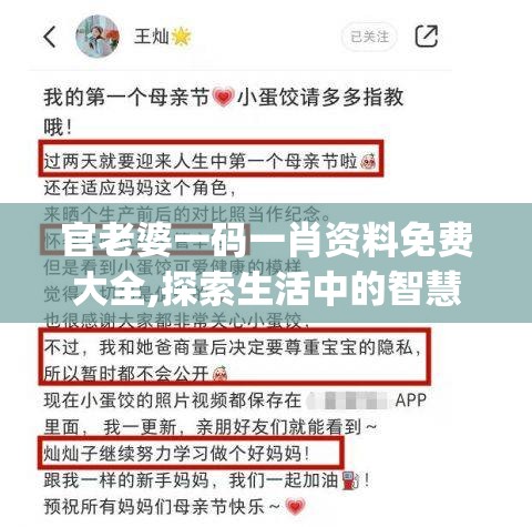 (浮石之旅奶妈技能走向攻略大全)浮石之旅，奶妈技能走向全面攻略