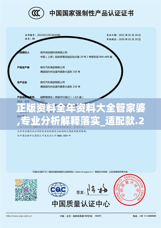 (黑衣小队第二季在线观看)黑衣小队第二季，深度解析与期待