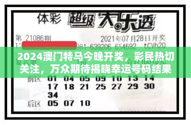 游戏爱好者惋惜不已：热门手游《极品飞人》竟意外停服，问题背后玩家究竟需要面对什么？