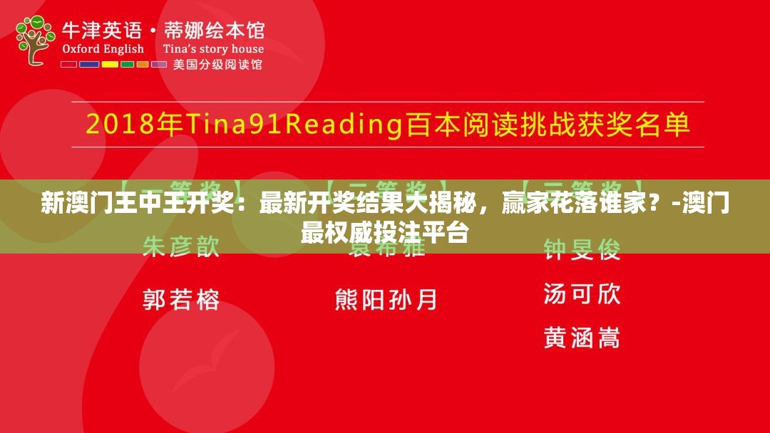 (宝石灵龙什么武器好用)宝石灵龙最佳武器选择，深度解析与多元分析