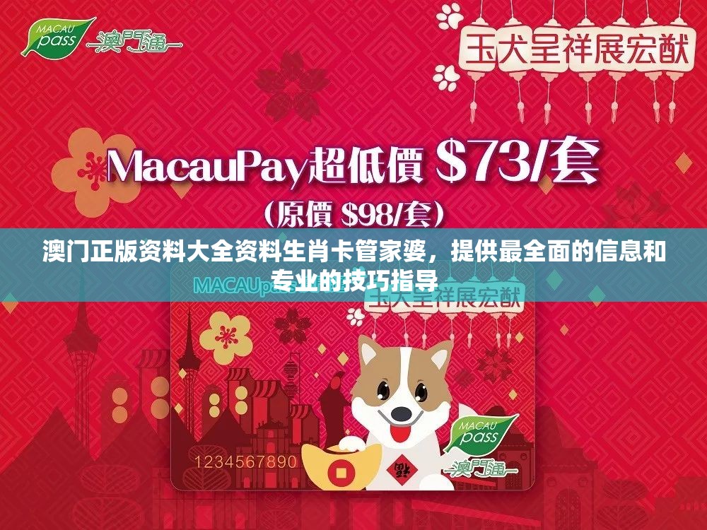 (中超风云3官方下载)中超风云3，赛场内外的故事与探索