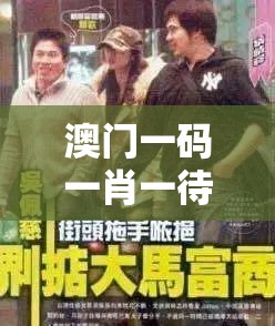 (勇闯女儿国阵容搭配攻略)勇闯女儿国，豪华阵容揭秘与深度解析