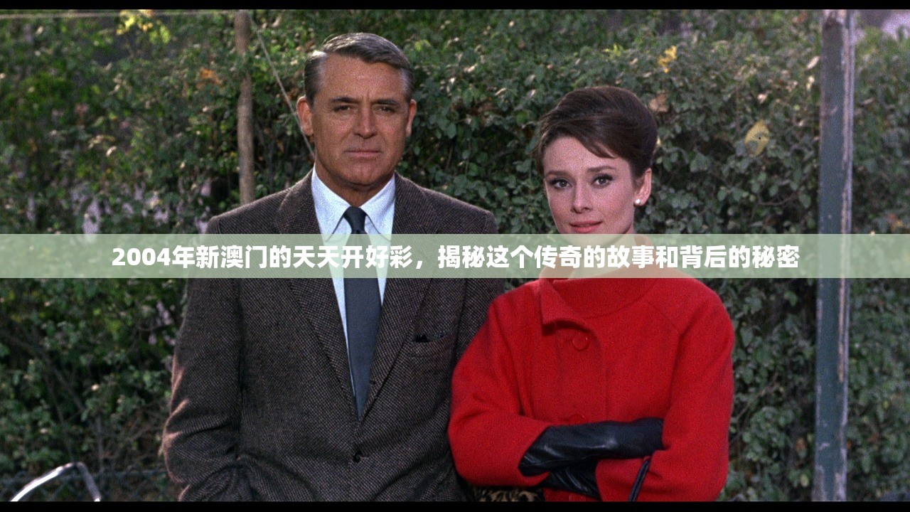 (真武江湖破解版)真武江湖，探寻传统武术与现代社会的交融
