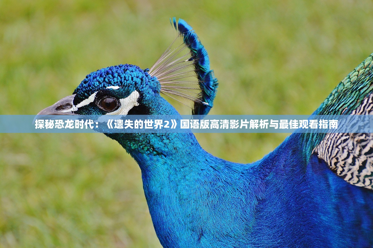 (代号 手游)代号UH手游，探索未来游戏的新篇章