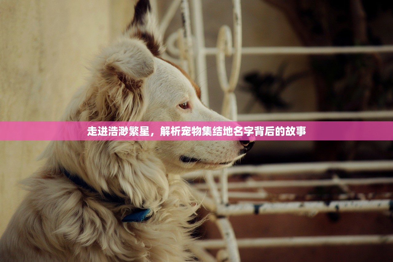 (唐代拾遗是什么官职)拾遗是什么官职