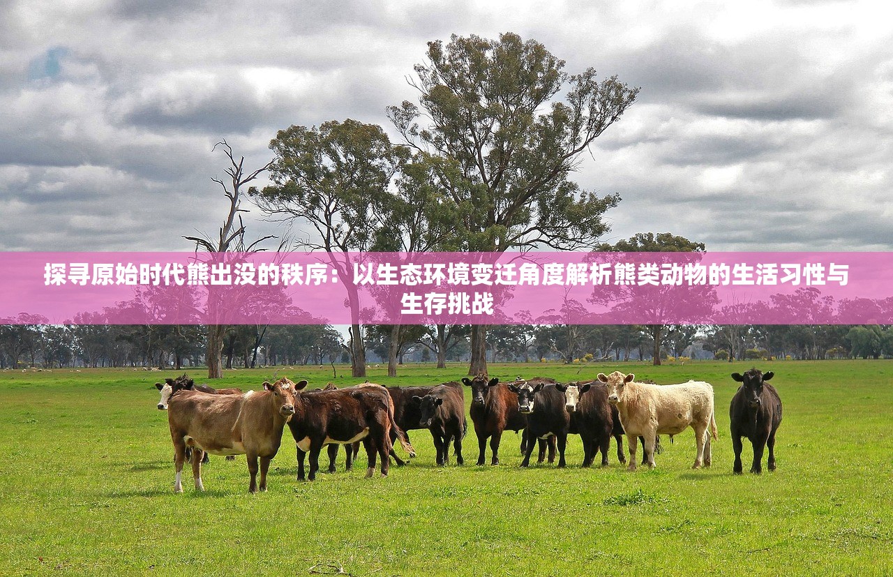 (小屋卫士)王小屋的屋屋保卫战最新版本，全新战略体验与独特魅力