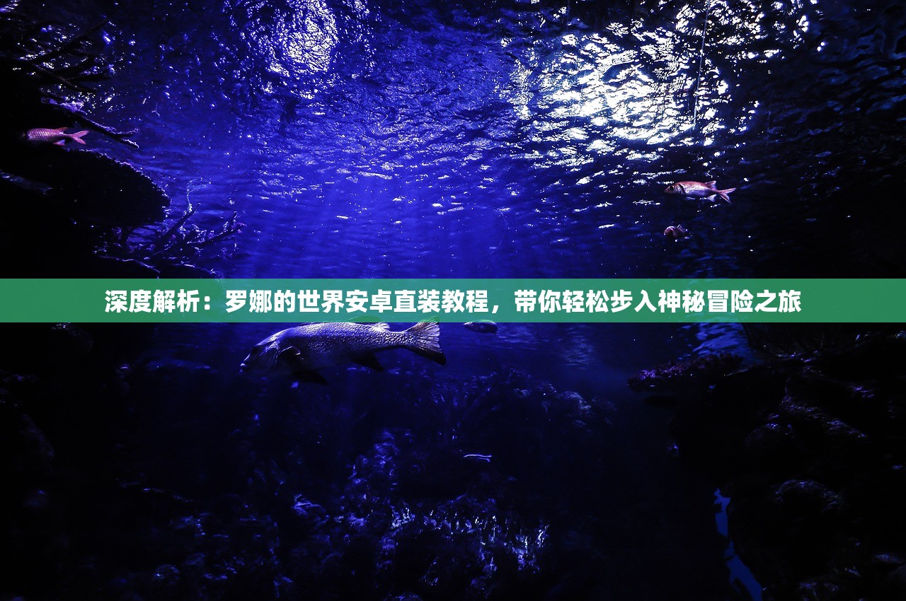 (咪呜记账薄下载)咪呜记账簿官方，全面解析与探索
