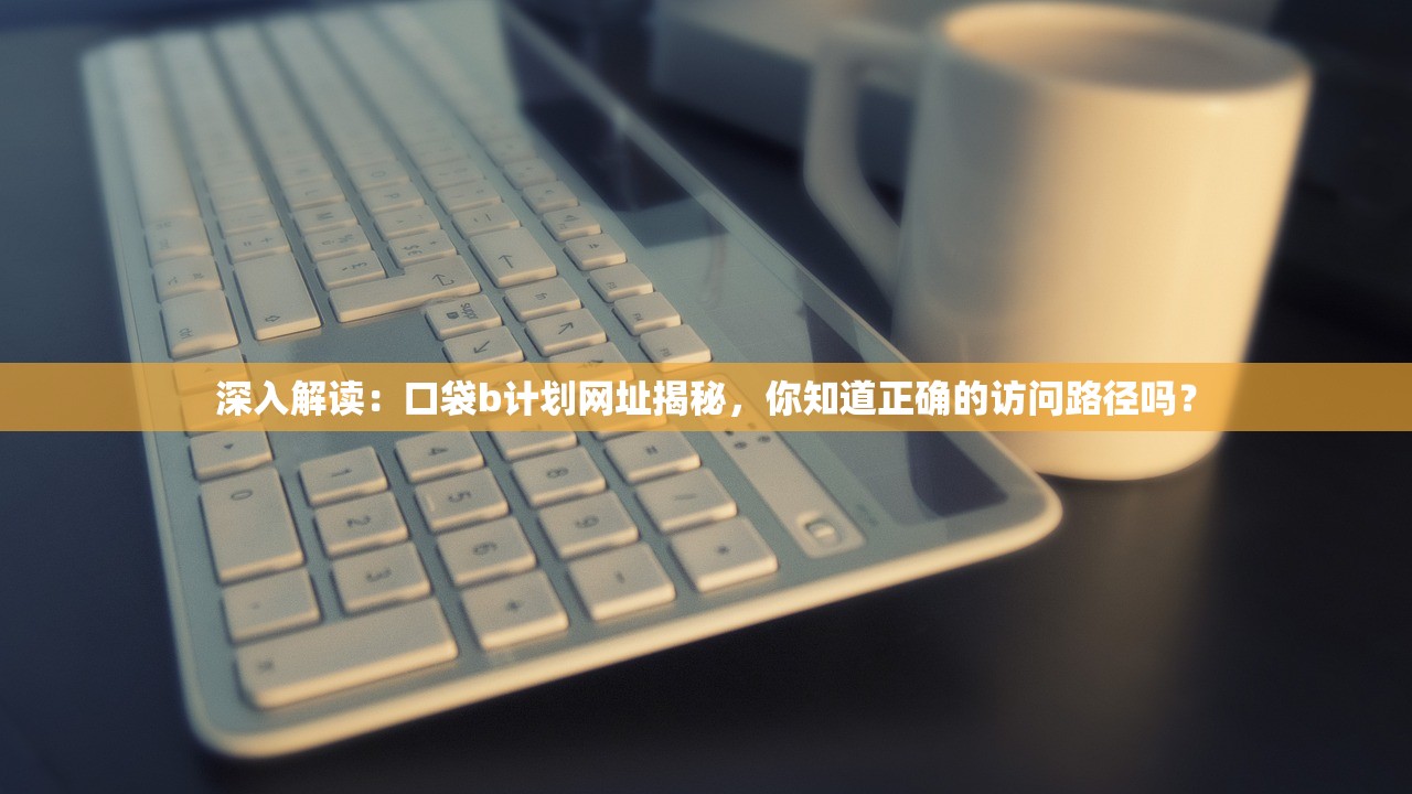 深入解读：口袋b计划网址揭秘，你知道正确的访问路径吗？